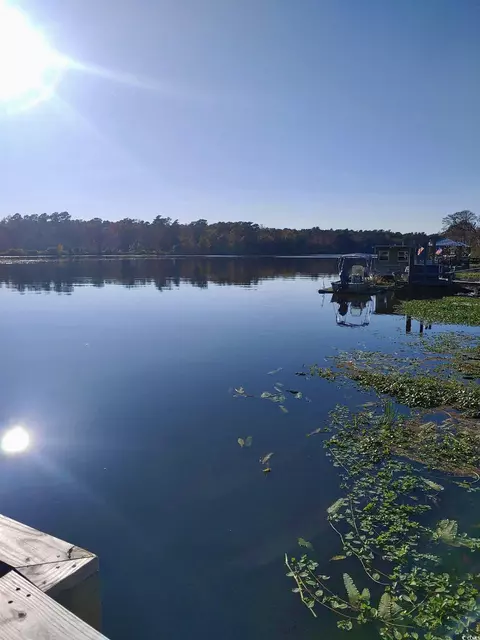 View/Area - 3723 Choppee Rd, Georgetown, SC 29440 photo 3 of 6