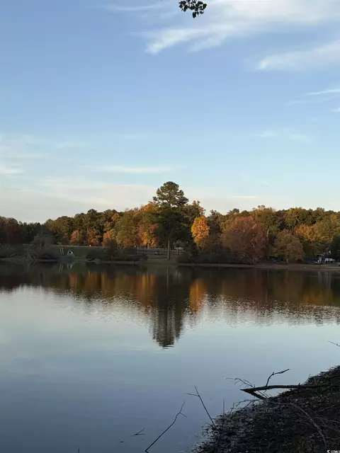 View/Area - 3723 Choppee Rd, Georgetown, SC 29440 photo 5 of 6