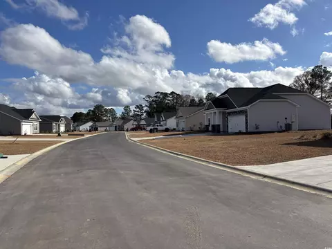 300 Palmetto Sand Loop, Conway, SC 29527 photo 2