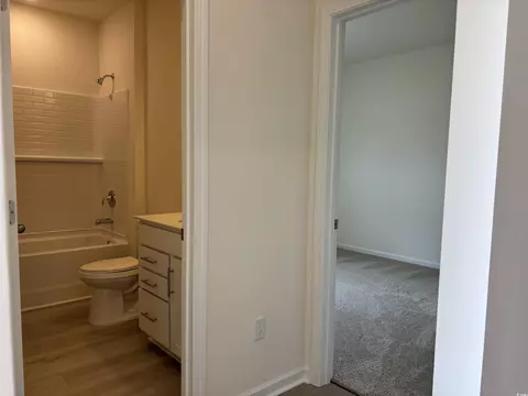 300 Palmetto Sand Loop, Conway, SC 29527 photo 11