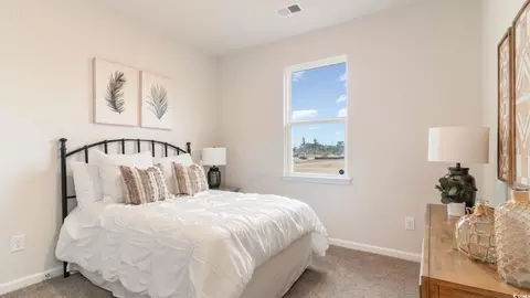 894 Farmers Passage Loop, Loris, SC 29569 photo 9