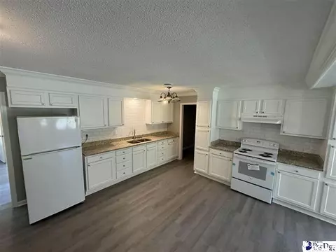 1057 Sam Lee Rd, Scranton, SC 29591 photo 4