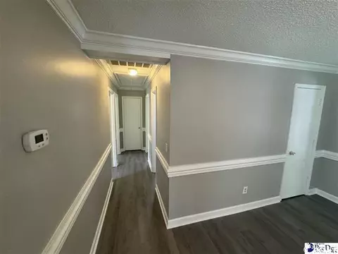 1057 Sam Lee Rd, Scranton, SC 29591 photo 13