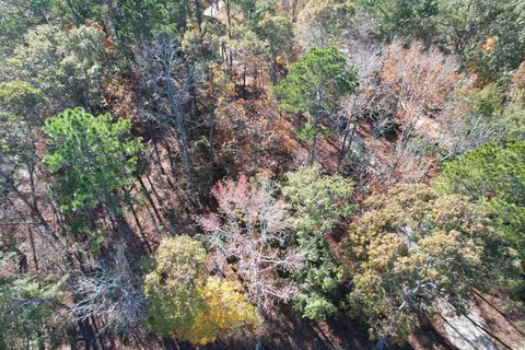 tbd Charles Dr, Manning, SC 29102 photo 2