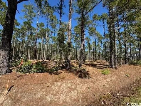1519 Hucks Rd, Aynor, SC 29511