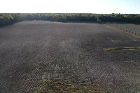 15 98acres-tbd Williamson Rd, Hemingway, SC 29554