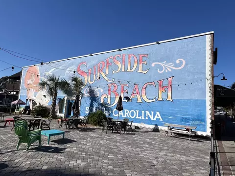Other - 423 Ocean Palms Dr, Surfside Beach, SC 29575 photo 2 of 11