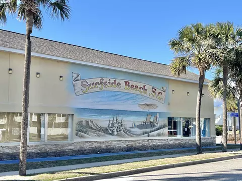 Other - 423 Ocean Palms Dr, Surfside Beach, SC 29575 photo 9 of 11