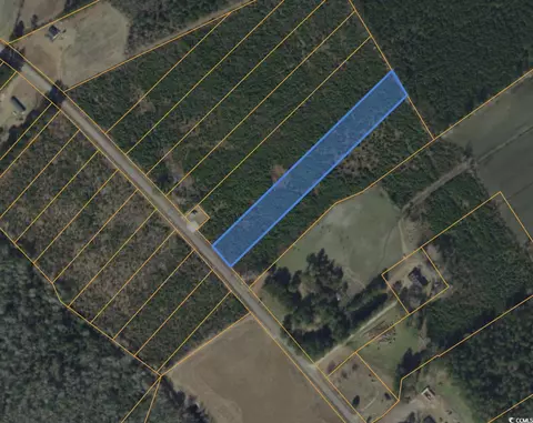 lot B7 Black Creek Rd, Nichols, SC 29581