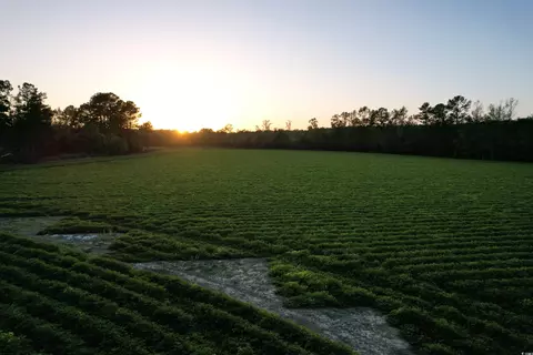 tbd Old Georgetown Rd, Hemingway, SC 29554