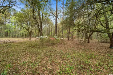 2905 Holladay Rd, Manning, SC 29102