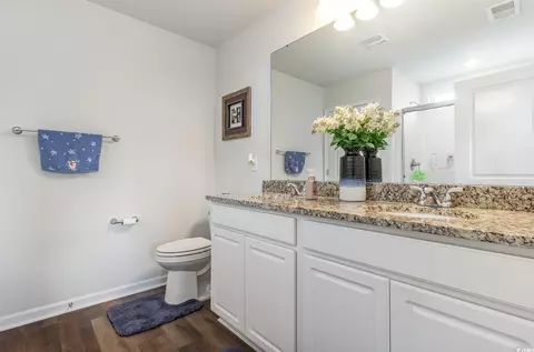Bath - 326 High Falls Dr, Conway, SC 29526 photo 3 of 4