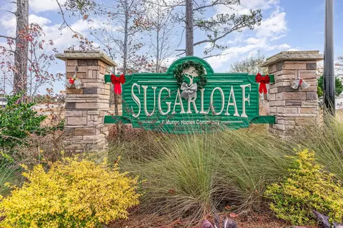 View/Area - 326 High Falls Dr, Conway, SC 29526 photo 1 of 1