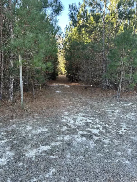 tbd Sugarhill Rd, Dillon, SC 29536 photo 7