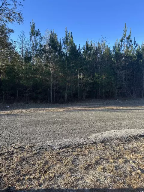 tbd Sugarhill Rd, Dillon, SC 29536 photo 4