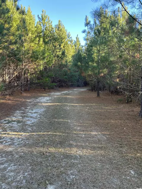 tbd Sugarhill Rd, Dillon, SC 29536 photo 8
