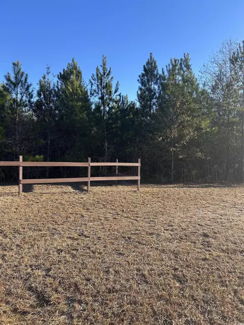 tbd Sugarhill Rd, Dillon, SC 29536 photo 2