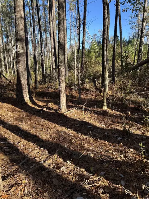 tbd Sugarhill Rd, Dillon, SC 29536 photo 18