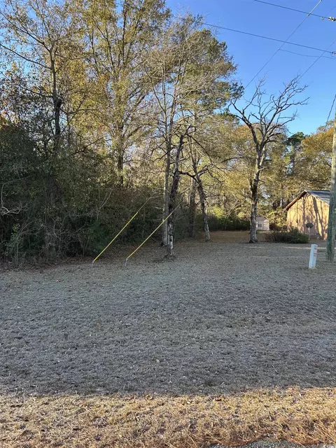 tbd Sugarhill Rd, Dillon, SC 29536 photo 11