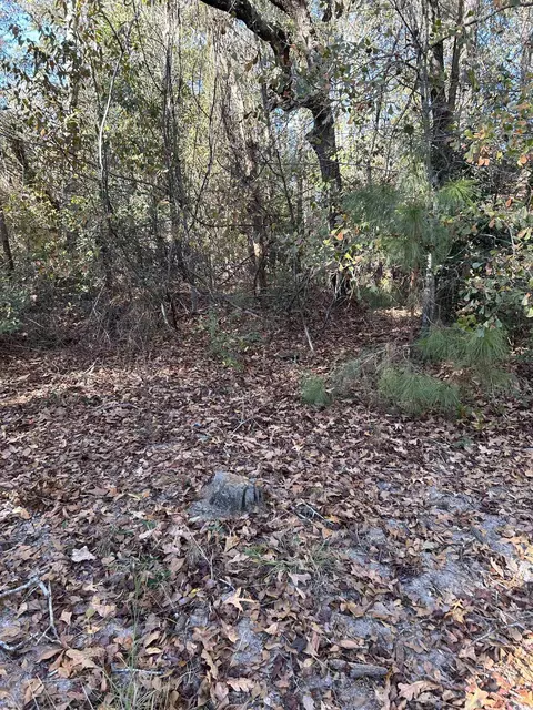 tbd Sugarhill Rd, Dillon, SC 29536 photo 20