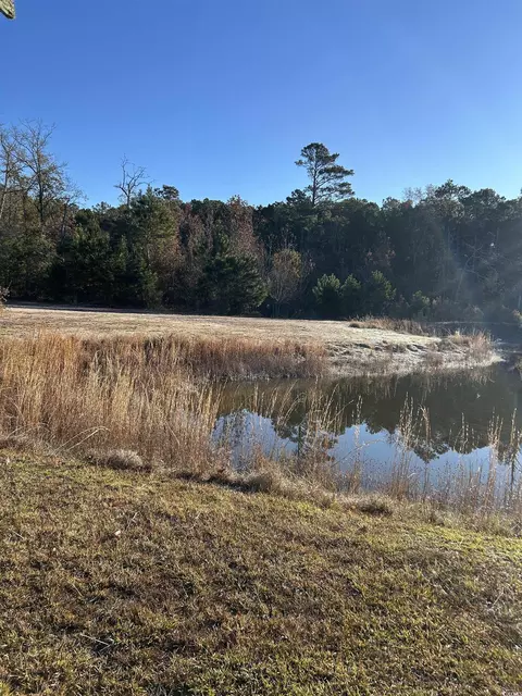 tbd Sugarhill Rd, Dillon, SC 29536 photo 14