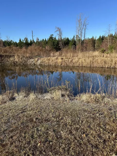 tbd Sugarhill Rd, Dillon, SC 29536 photo 13