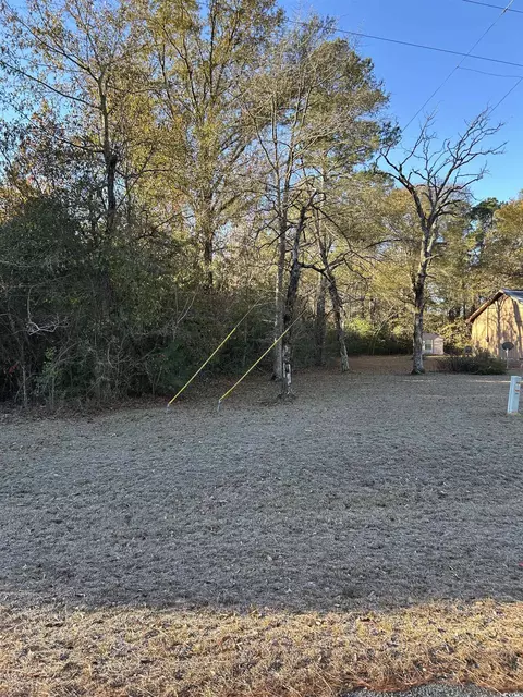 tbd Sugarhill Rd, Dillon, SC 29536 photo 10