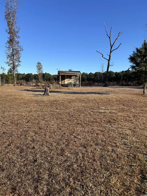 tbd Sugarhill Rd, Dillon, SC 29536 photo 17