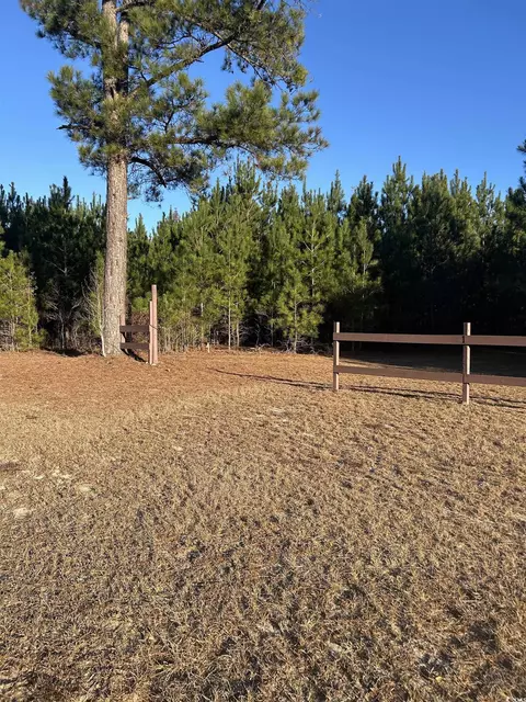 tbd Sugarhill Rd, Dillon, SC 29536 photo 3