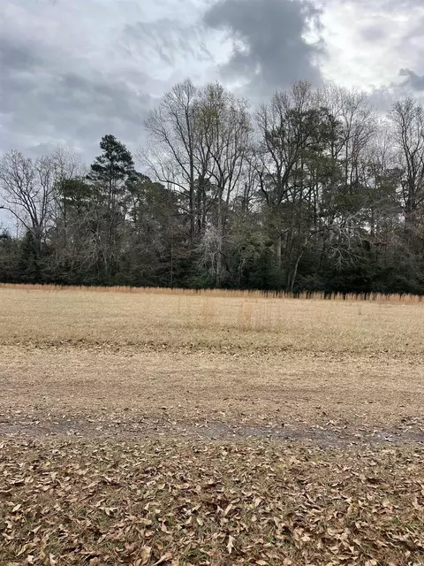 3739 Gurley Rd, Loris, SC 29569 photo 4