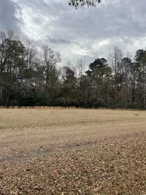 3739 Gurley Rd, Loris, SC 29569 photo 2