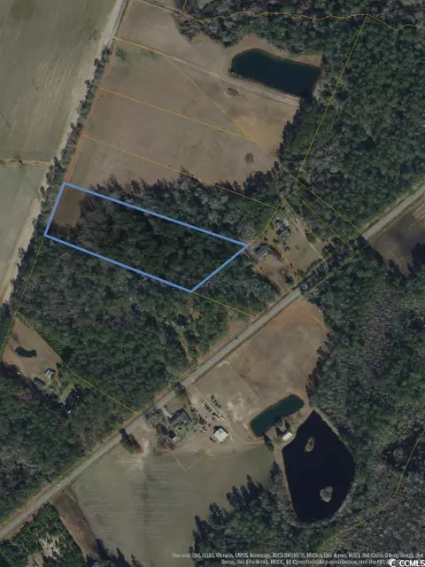 3739 Gurley Rd, Loris, SC 29569 photo 3