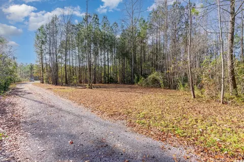 3156 Daisy Rd, Loris, SC 29569 photo 31
