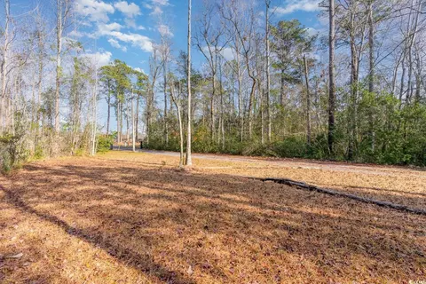 3156 Daisy Rd, Loris, SC 29569 photo 32