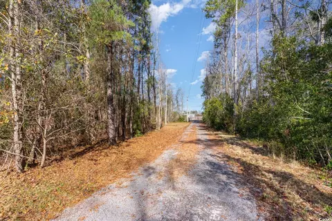 3156 Daisy Rd, Loris, SC 29569 photo 33