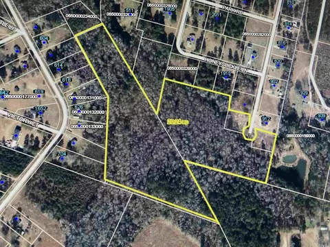 Ridgeview Lane, Marion, SC 29571