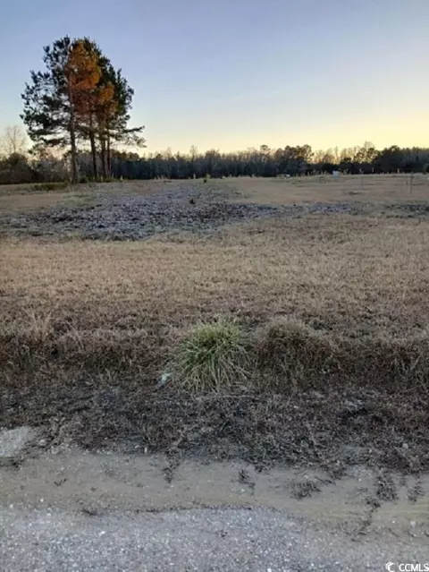 3452 Rosario Pl, Loris, SC 29569
