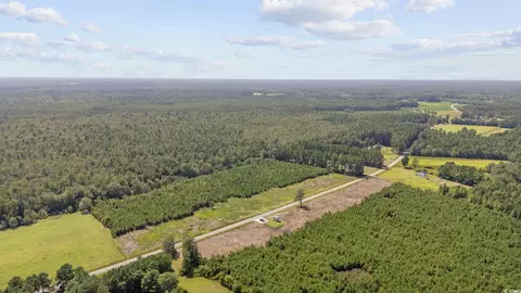 lot4 Black Creek Rd, Nichols, SC 29581