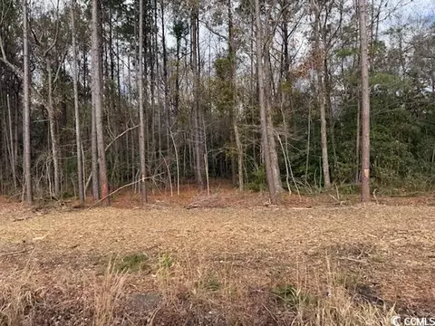 6 97 Acs Kates Bay Hwy, Conway, SC 29527 photo 20