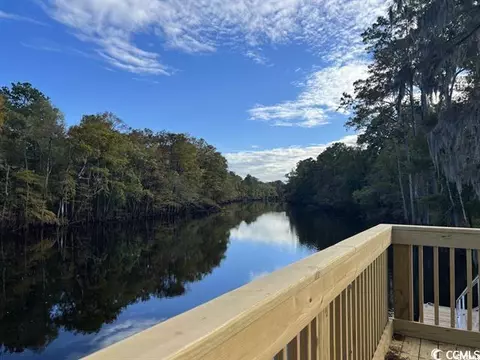 View/Area - 541 Honeyhill Loop, Conway, SC 29526 photo 6 of 6