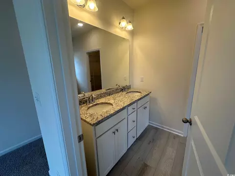576 Honeyhill Loop, Conway, SC 29526 photo 13