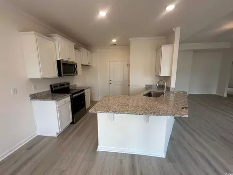 576 Honeyhill Loop, Conway, SC 29526 photo 4