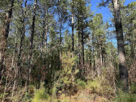 34 Acres-tbd Easler Hwy, Greeleyville, SC 29056
