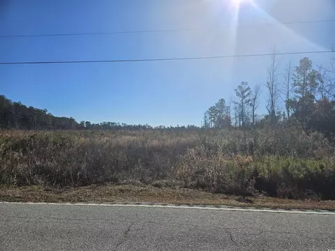 27 Ac Highway 541, Olanta, SC 29114