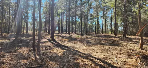 2759 Hagan Rd, Loris, SC 29569