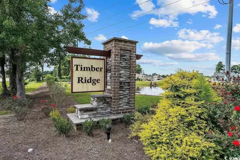 Other - 260 Red Maple Loop, Longs, SC 29568 photo 3 of 14