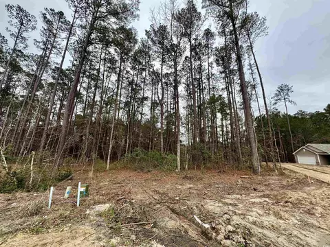 200 Joanna Gillard Ln, Georgetown, SC 29440