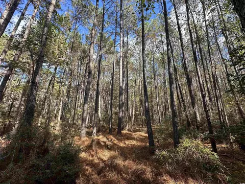 26 Acres-tbd Puncheon Creek Dr, Andrews, SC 29510