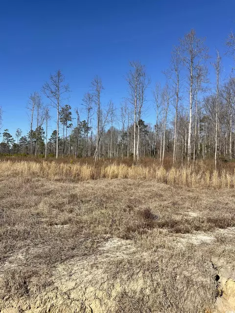 2686 Scarbrough Dr, Loris, SC 29569 photo 2