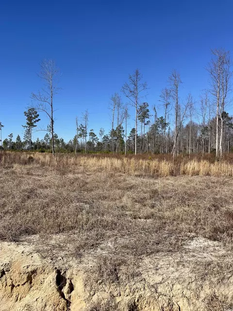 2686 Scarbrough Dr, Loris, SC 29569